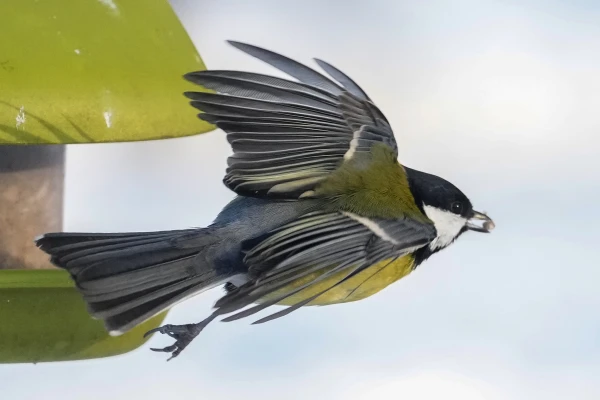 Svētdien lielākajā daļā Latvijas spīdēs saule