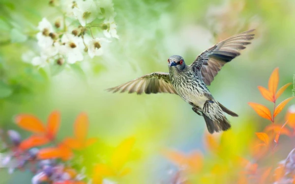 20 iemeslu celties plkst. 5.00 no rīta un mainīt dzīves kvalitāti