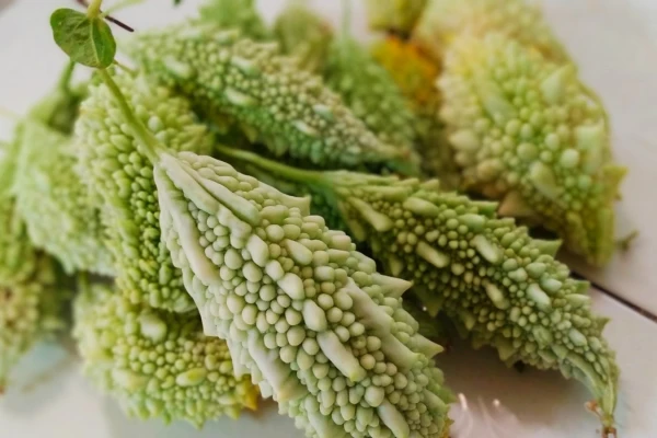 Nosaukts dabīgs aknu aizsargājs pret alkohola izraisītajiem bojājumiem