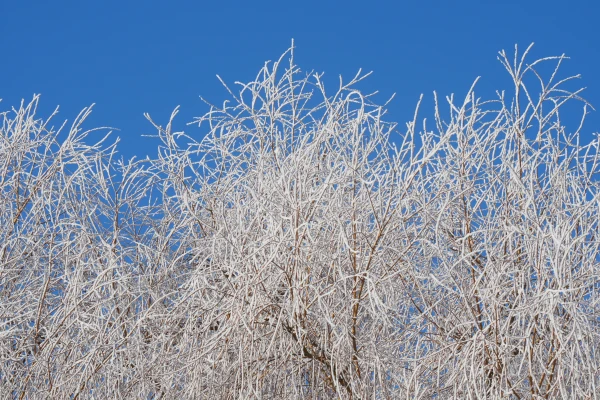 Otrdien vietām gaidāms neliels sniegs