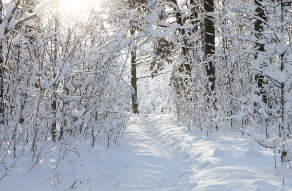 Nedēļas otrajā pusē Latgalē sniega dziļums var pārsniegt pusmetru