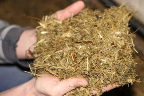 Organisko mēslojumu kaitīgie aspekti: kas jāzina