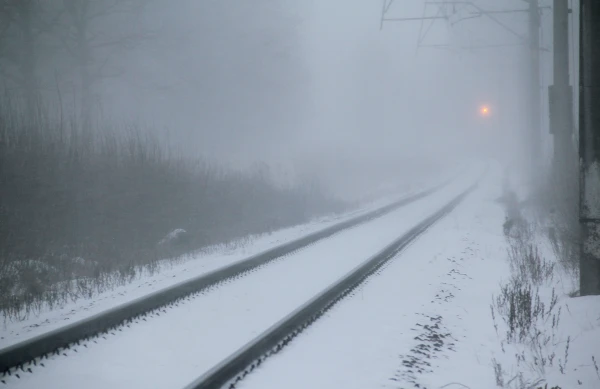 Piektdien gaidāms spēcīgs sniegputenis