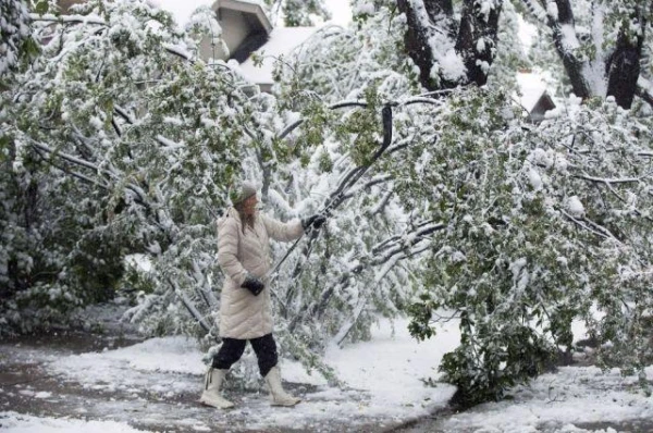 Kādus dārza darbus februārī var veikt?