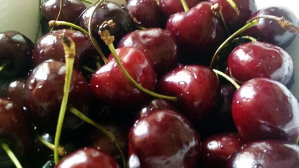 Kāpēc dārzā ir vērts potēt ķirsi?