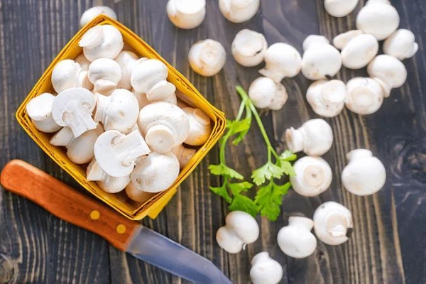 Šampinjoni: produkts, kas atbalstīs sirds un nervu sistēmas veselību