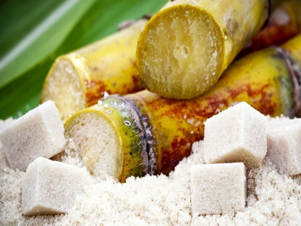 Ražotājiem nav viegli: cīņa ar aptaukošanos strauji samazinājusi cukura cenas