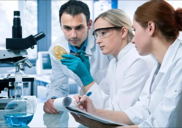 Иностранный гражданин вправе самостоятельно заявить о себе как о высококвалифицированном специалисте.