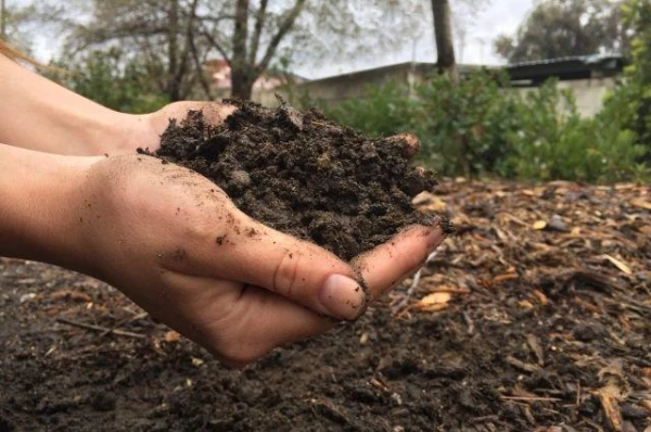 Kā uzlabot augsnes stāvokli?