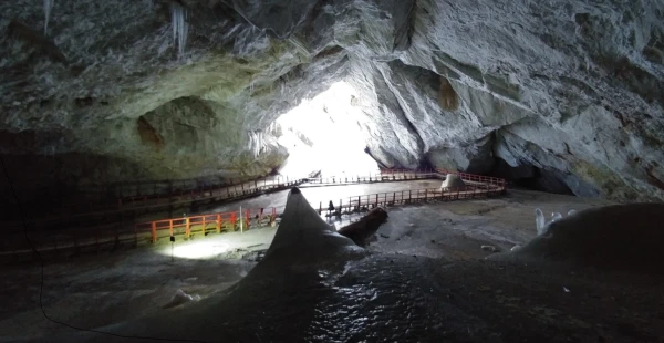 Здесь был собран уникальный биологический материал.