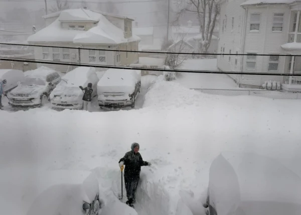 x.com/oldscarf1stweek/