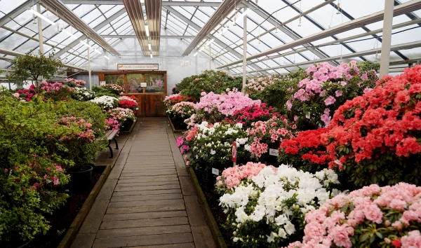 Šogad Nacionālajā botāniskajā dārzā nenotiks stādu gadatirgi