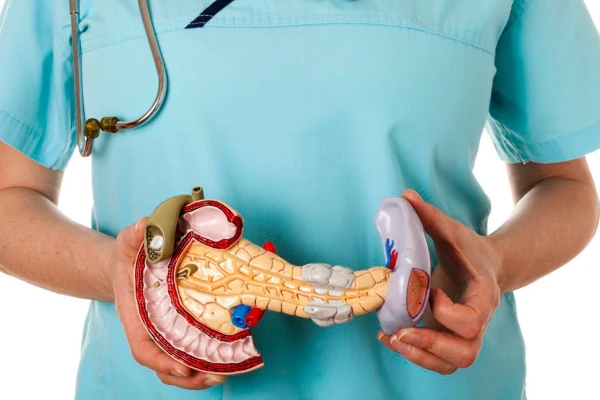 Piecas pazīmes, kas liecina par problēmām ar aizkuņģa dziedzeri, un kā aizsargāt orgānu