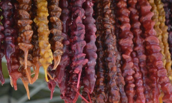 Čurčhela: labvēlīgās īpašības un kontrindikācijas