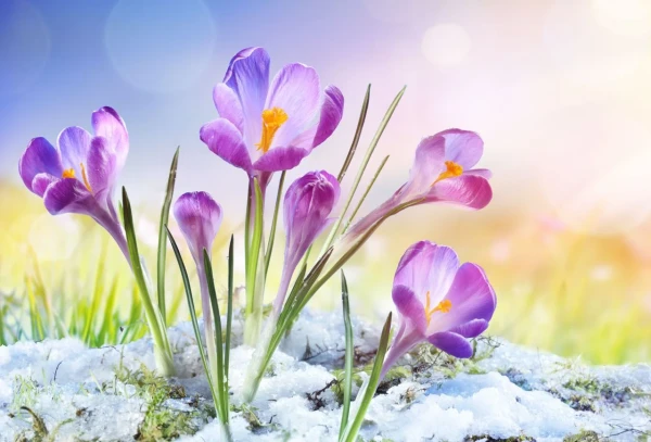 Neaizmirstiet izdevību: 5 lietas, ko vērts paspēt izdarīt, kamēr pavasaris vēl nav iestājies