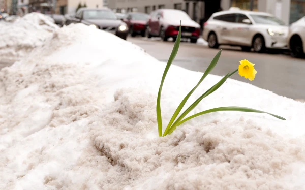 Svētdiena būs mākoņaina, valsts rietumos būs pa kādam saules staram