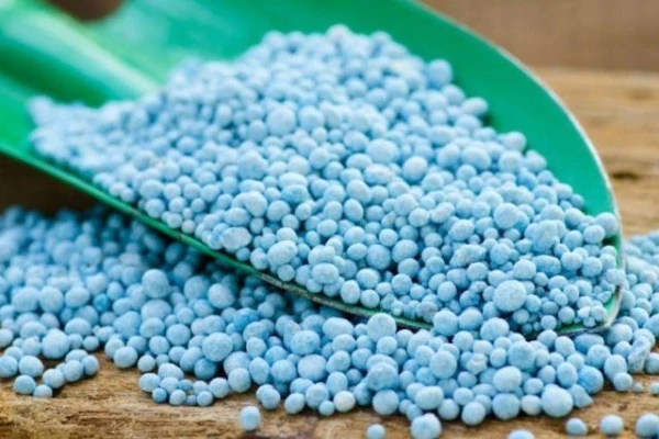 Kā pareizi izkliedēt mēslojumu zem jaunajiem augļu kokiem?