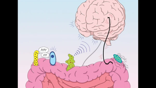 Zarnu baktērijas un apetīte: kāpēc reizēm ēdam pat tad, kad neesam izsalkuši