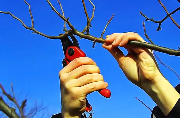 Marts vasarnīcā: kādus darbus svarīgi paveikt pavasara sākumā