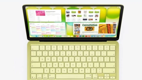 За внешним образом не стоит революционного содержания.