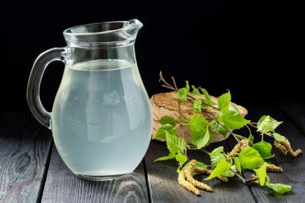 Kā pareizi uzglabāt bērzu sulu?