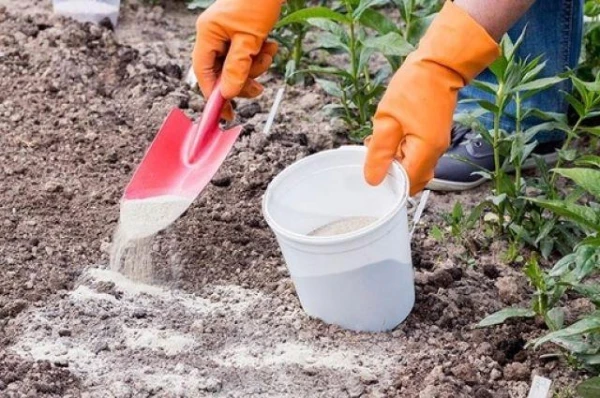 Kāds ir augsnes kaļķošanas mērķis?