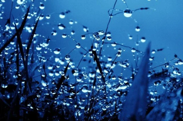 Kā interpretēt mitruma rādītājus laika prognozēs?