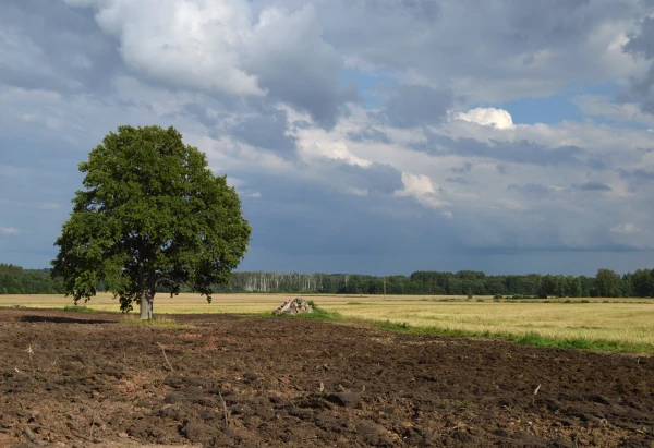 Konflikts Tuvajos Austrumos var veicināt minerālmēslu un pārtikas cenu kāpumu