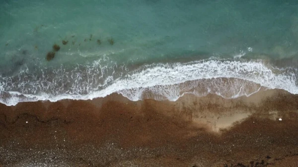 Исследователи считают, что это может помочь замедлить глобальное потепление.