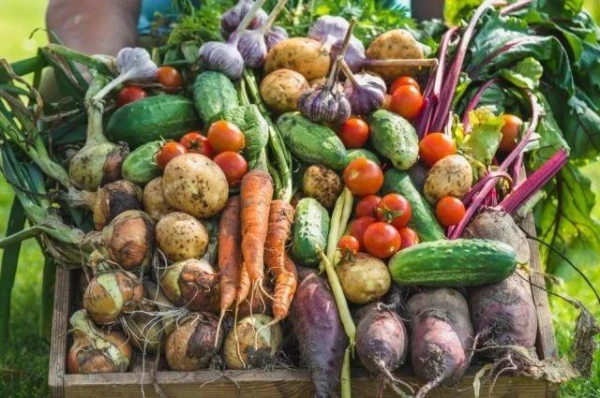 Nav obligāti jārok. Top-5 kultūras «slinkajam» dārzam