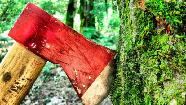 Biežāk izplatītie noziegumi pret dabu ir patvaļīga koku ciršana un bojāšana