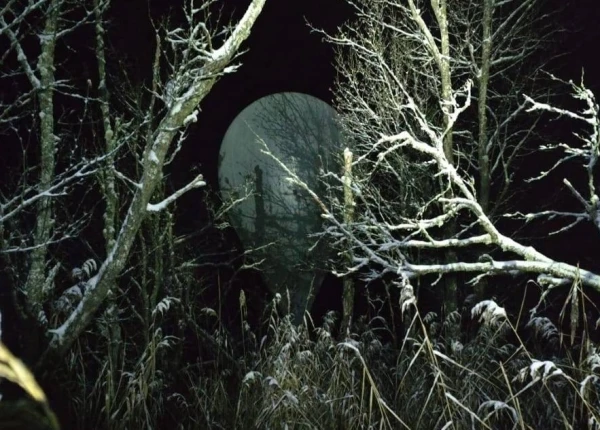 Madona novadā konstatēti divi kontrabandā izmantoti meteoroloģiskie baloni