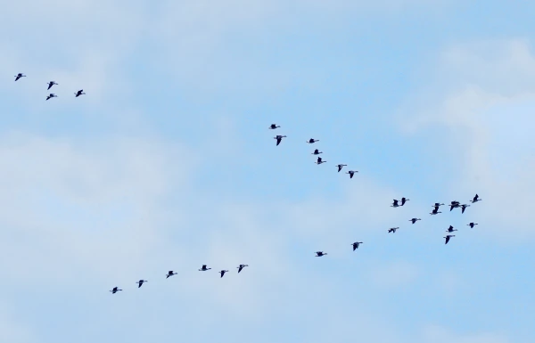 Saulainākais laiks otrdien saglabāsies austrumu novados