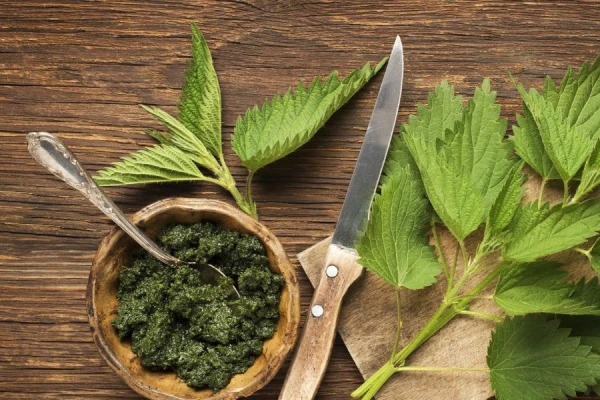 Ko pavasarī var salasīt mežā?