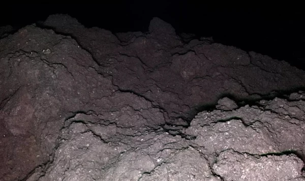 Uz asteroīda Rjugu tomēr varētu būt dzīvība