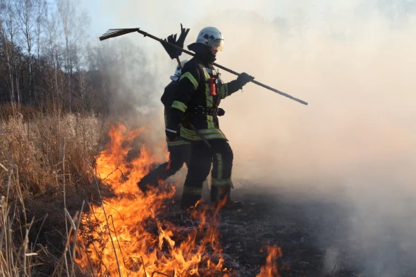Latvijā pērn būtiski pieaudzis kūlas ugunsgrēku skaits
