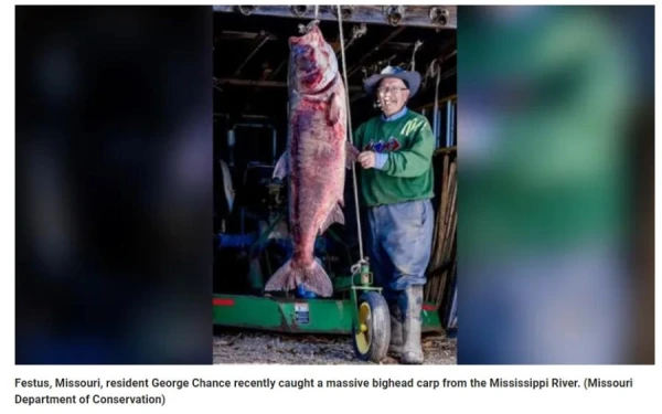 Amerikānis uzstādīja pasaules rekordu lielgalvas karpas noķeršanā