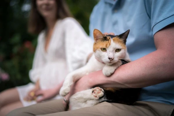 Veterinārārste izskaidroja atšķirības starp kastrāciju un sterilizāciju