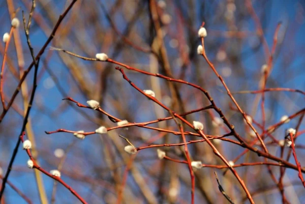 Lielajā piektdienā gaidāmi mainīgi laika apstākļi