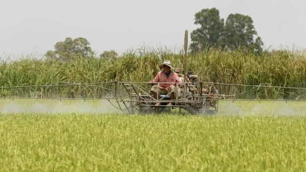 В первую очередь пострадают крестьяне Азии.