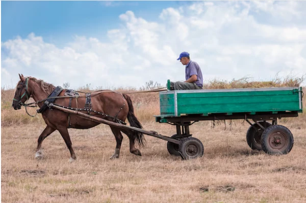 ES iedzīvotāji aicināti pāriet no automašīnas uz zirgu benzīna cenu kāpuma dēļ