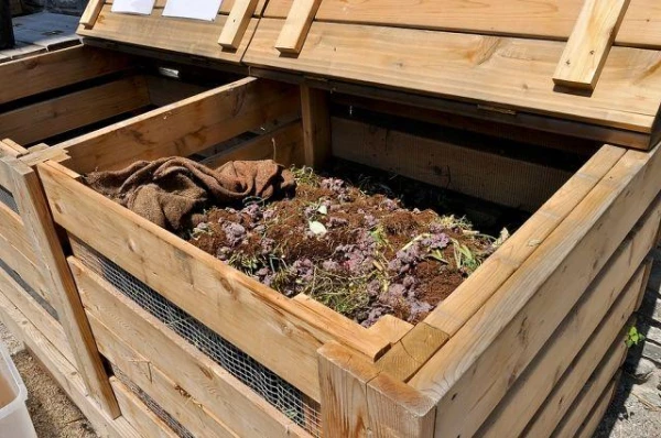 Ko darīt, ja nav kūtsmēslu?