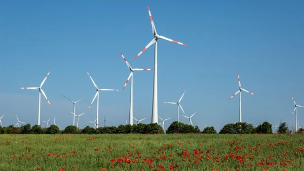 Лидер Евросоюза хочет быть самой чистой страной.