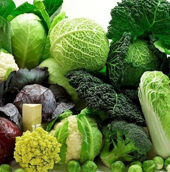 Kā izaudzēt kāpostus, kas kļūs par labākajiem pasaulē: noderīgi ieteikumi