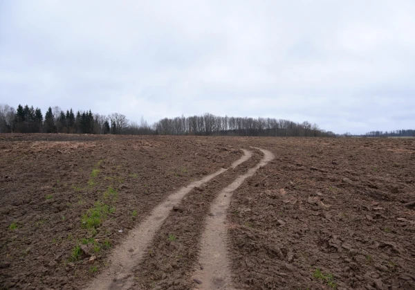 Pēcsvētku dienā saglabāsies drēgns laiks