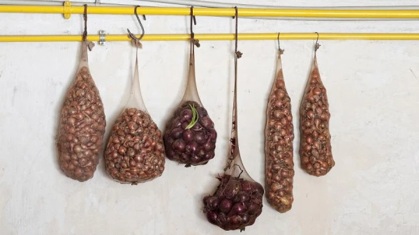 Padomju cilvēku triki: no vantūža līdz zeķēm sīpolu glabāšanai