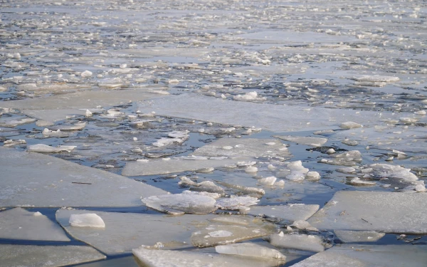 Rīgas līcī kūst pēdējie ledus gabali