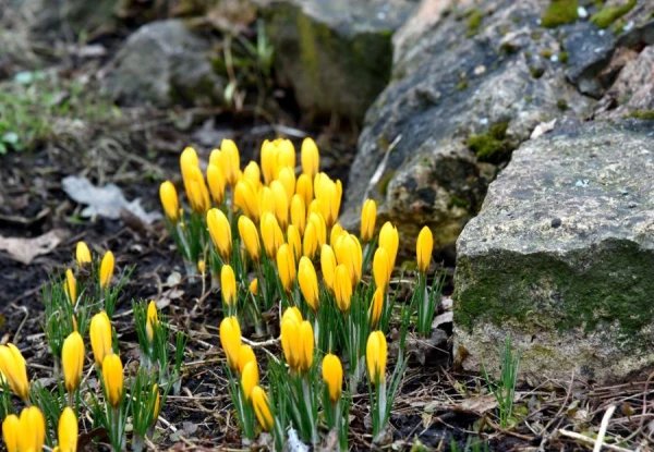 Trešdien Latvijā gaiss sasils līdz +18 grādiem