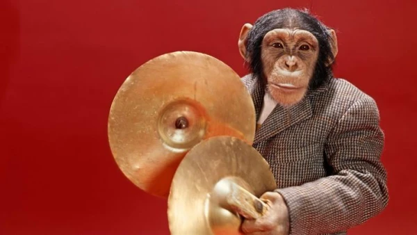 Alkohola lietošana savvaļā: kā dzīvnieki lieto alkoholiskos dzērienus