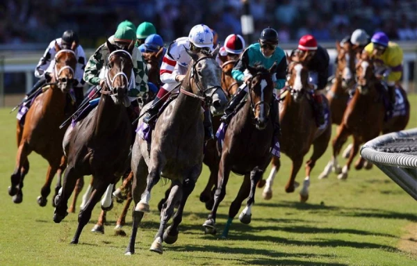 Kāpēc zirgu nedrīkst dot dzert tūlīt pēc sacīkstes?